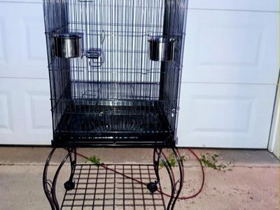 Bird Cage