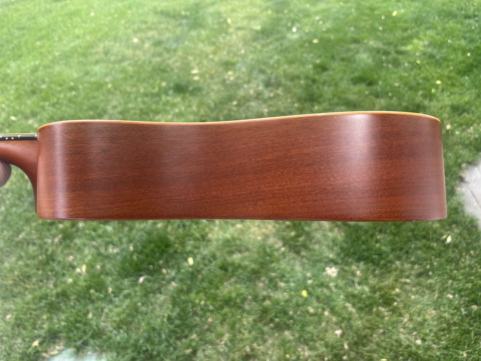 Main image 6