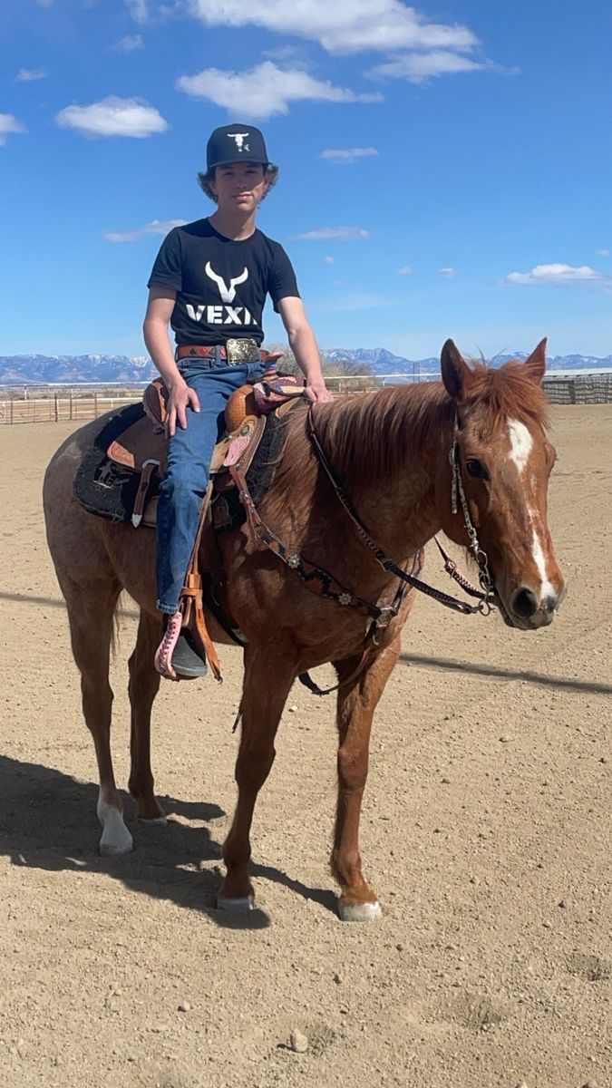 10 Year Old Red Roan Gelding