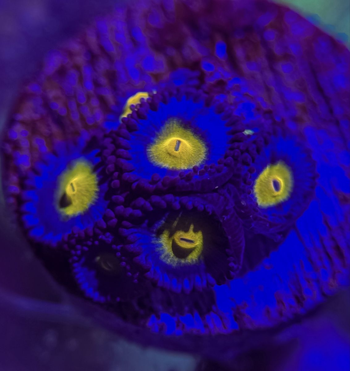 Main image 4