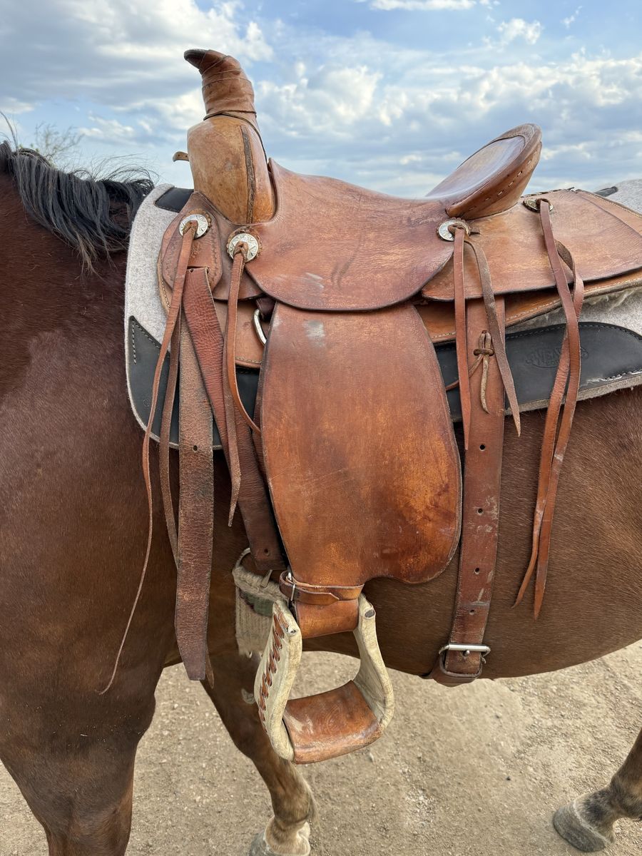 15.5" Western Pleasure Leather Horse Saddle - Used