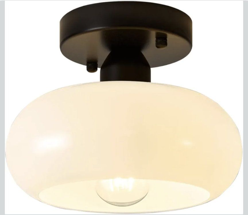 Small Black Modern Ceiling Light
