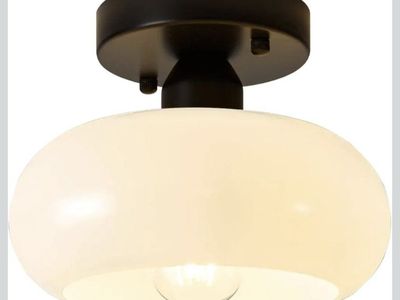 Small Black Modern Ceiling Light