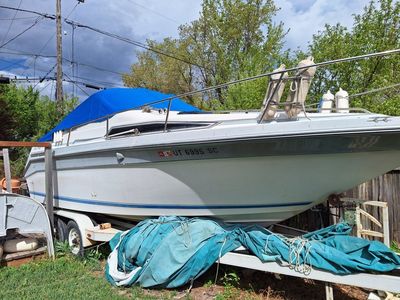 1988 searay 25 sorrento