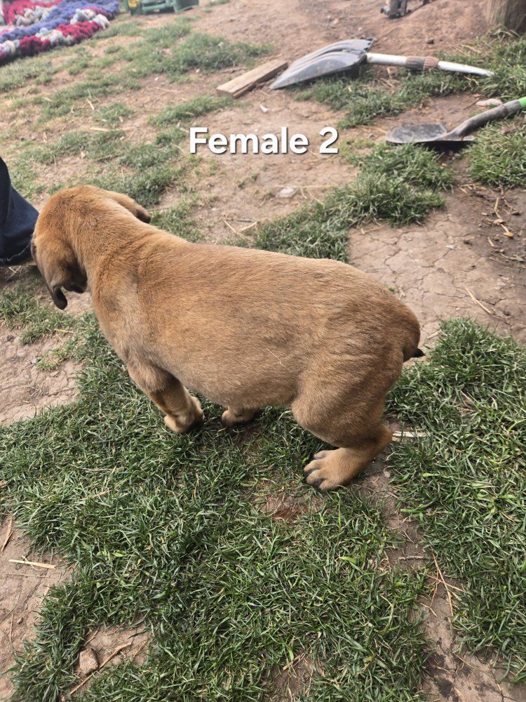 Main image 5