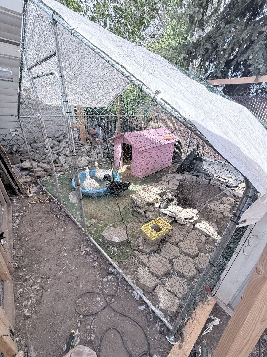 Main image 2