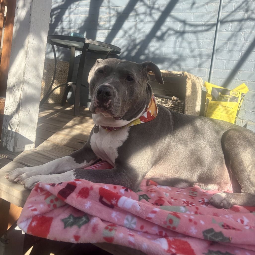 Hello my name is Hattie