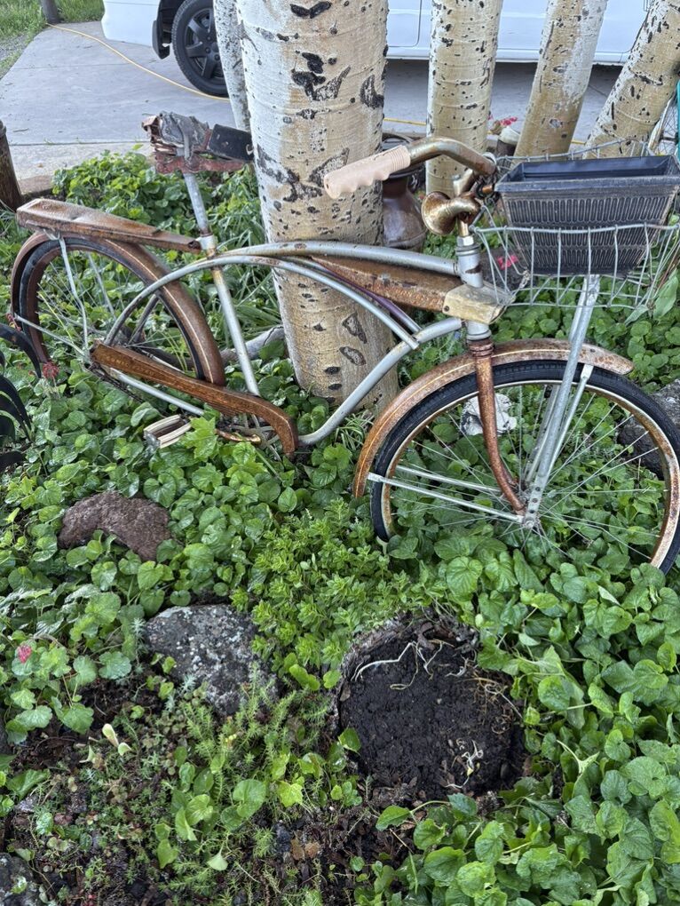 Vintage Sonic Flyer Western Flyer Bicycle
