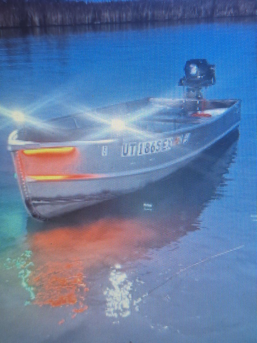 Jon Boat 11' with removable light's