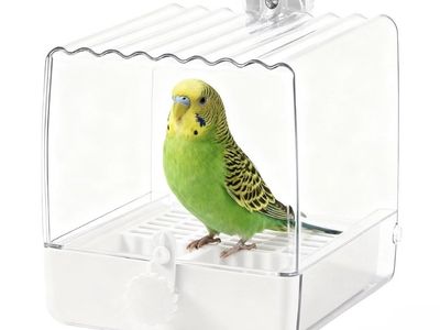 Birds Bath - Shower - Feeder Cage Accessory