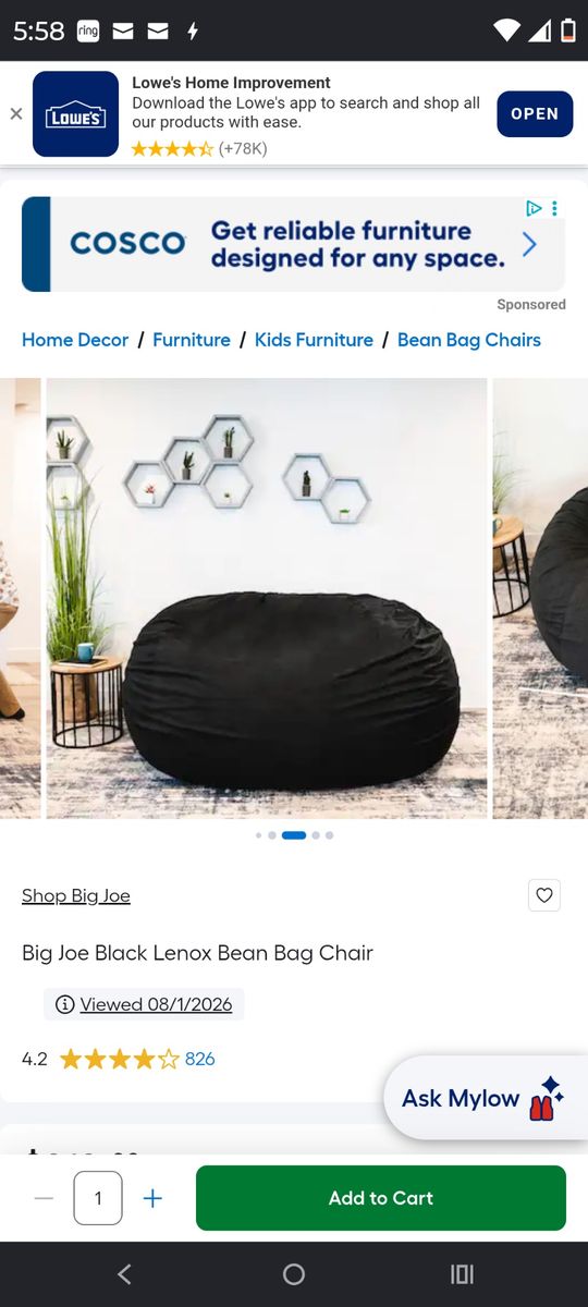 Bean Bag Chair
