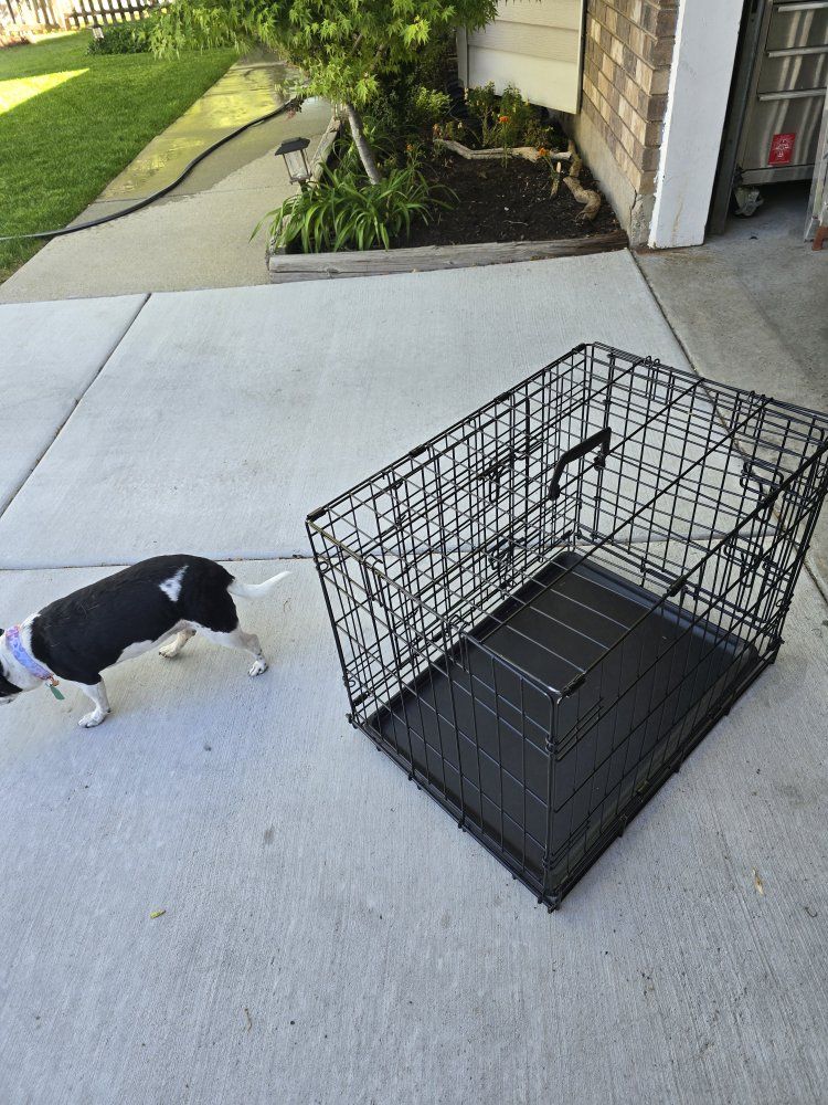 pet kennel/pet carrier