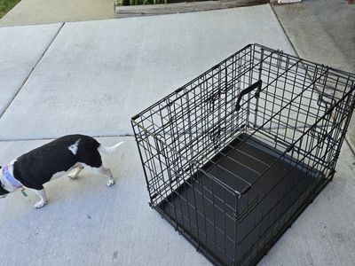 pet kennel/pet carrier