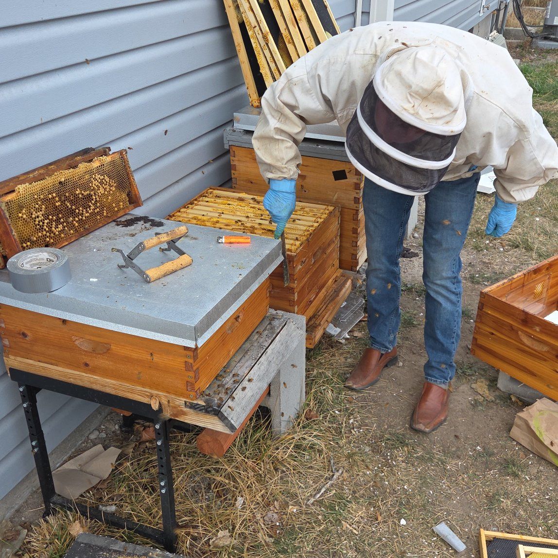 Beehive and Nucs