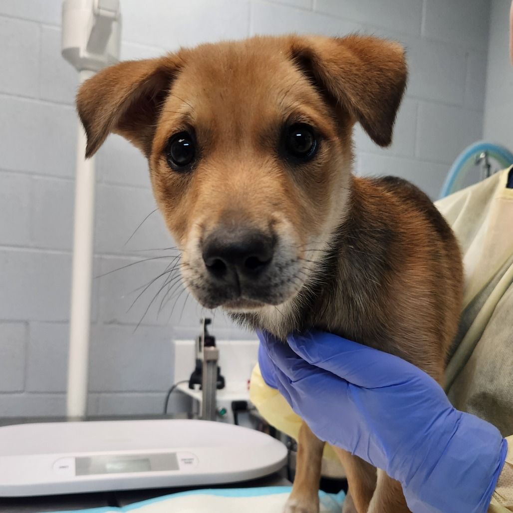 Hello my name is Lumpy Space Princess