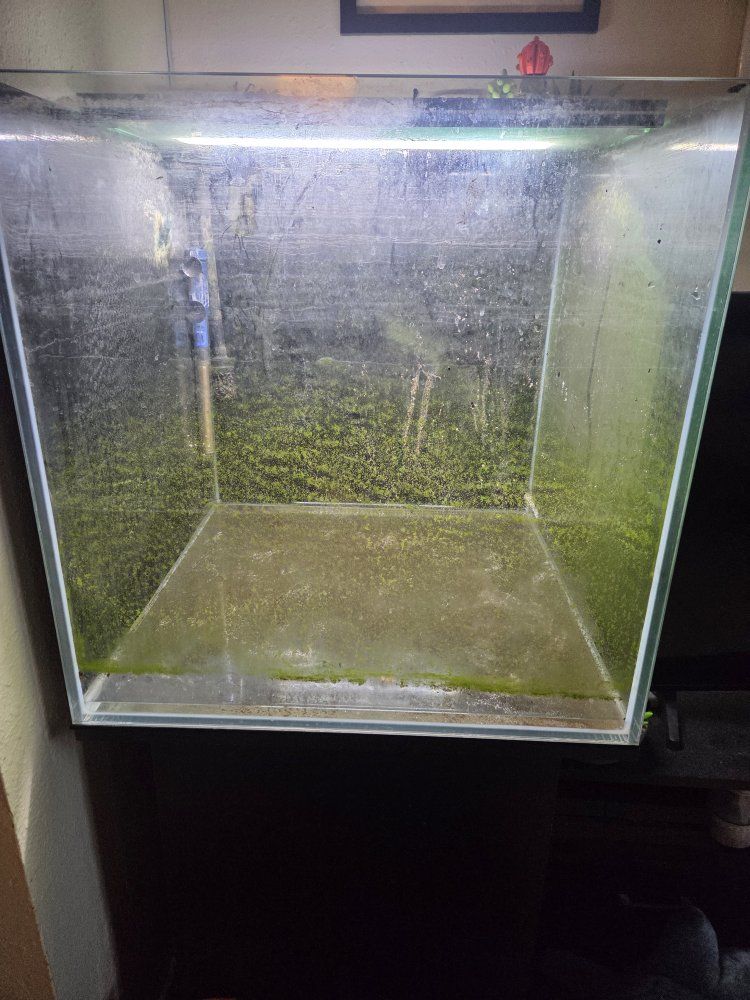 Aquarium setup good for aquascaping