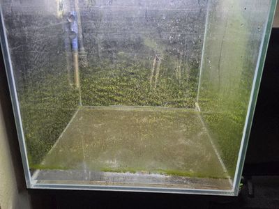 Aquarium setup good for aquascaping