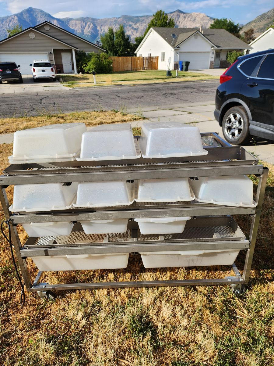 Freedom breeder rat rack 