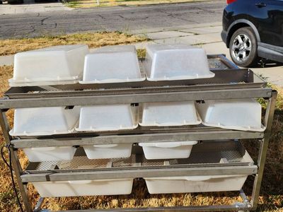 Freedom breeder rat rack