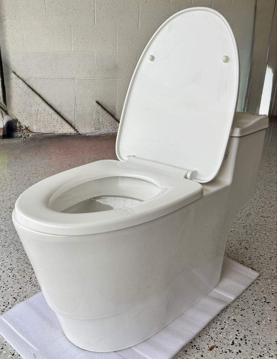 Woodbridge 1-Piece 1.28 GPF Dual Flush Elongated Toilet