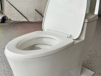 Woodbridge 1-Piece 1.28 GPF Dual Flush Elongated Toilet