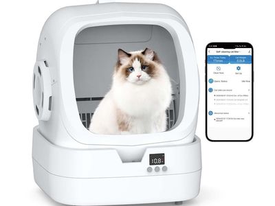 Automatic self cleaning litter Box