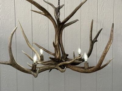 Elk Antler Chandelier