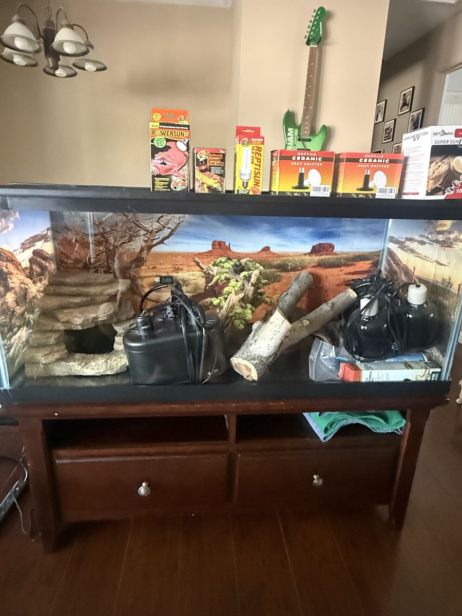Large Reptile Terrarium with Accessories, Heat Lamps, and Decor - Complete Setup
