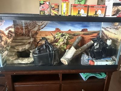 Large Reptile Terrarium with Accessories, Heat Lamps, and Decor - Complete Setup