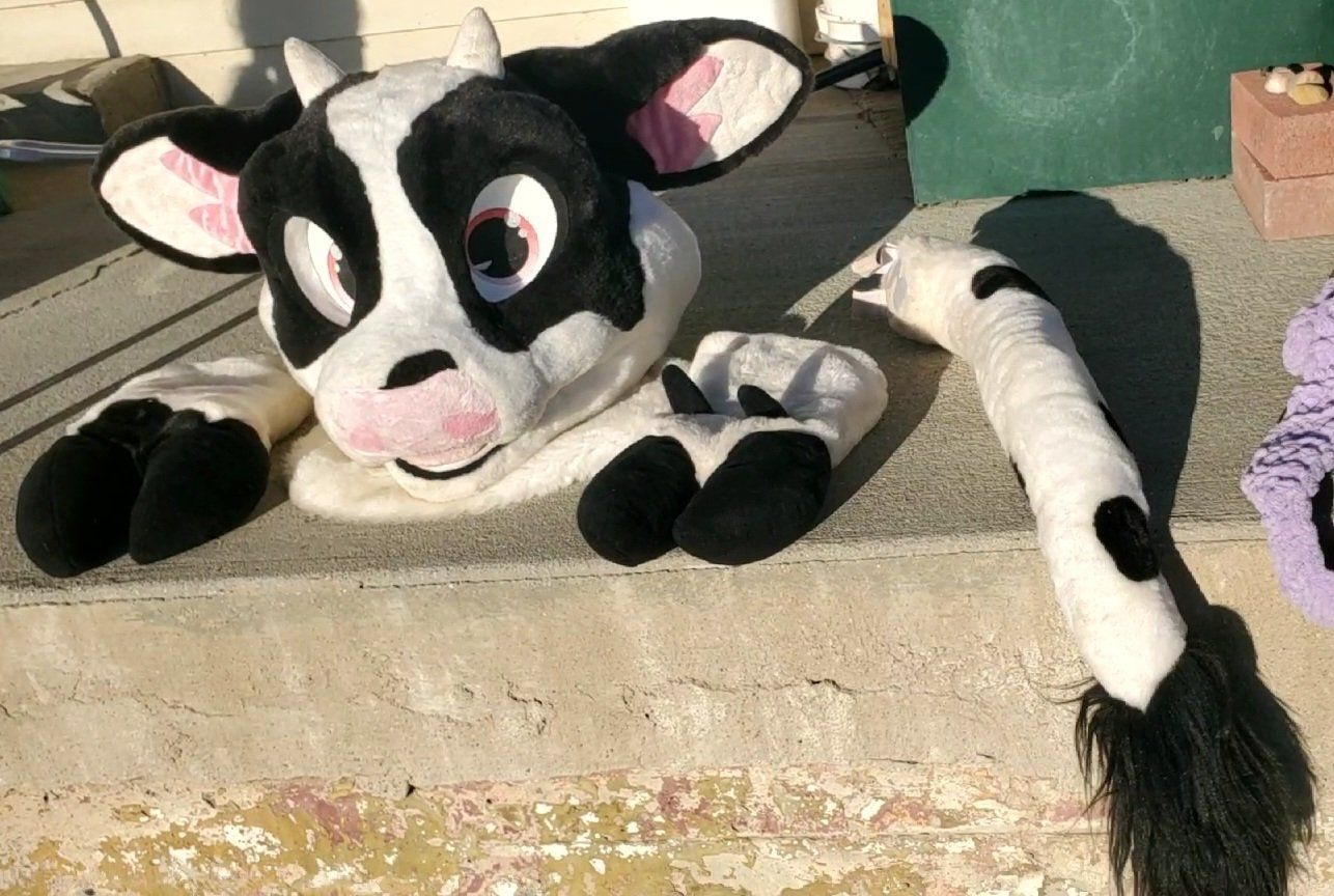 Cow Fursuit Partial