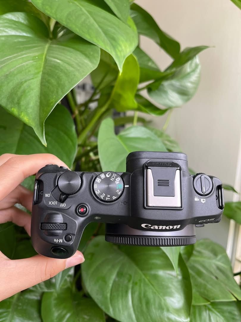 canon eos R8