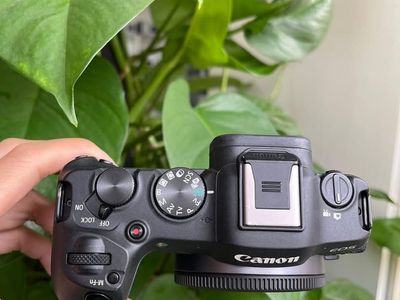 canon eos R8