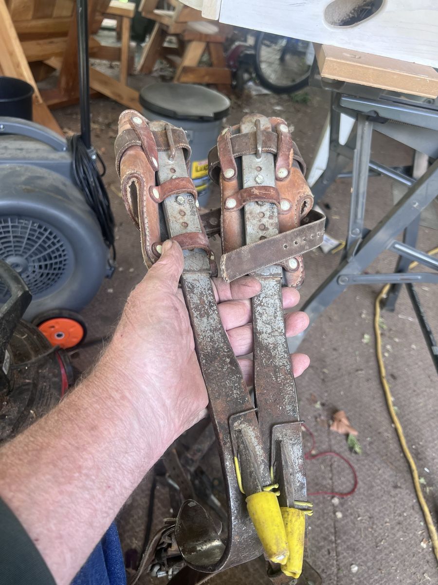 Tree Pole Climbing Spikes