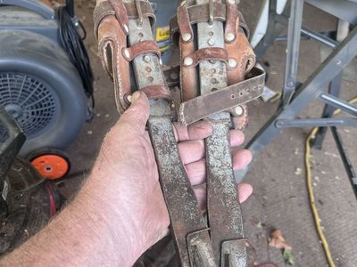 Tree Pole Climbing Spikes