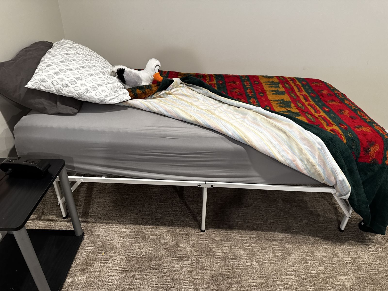 Twin bed frame and mattress