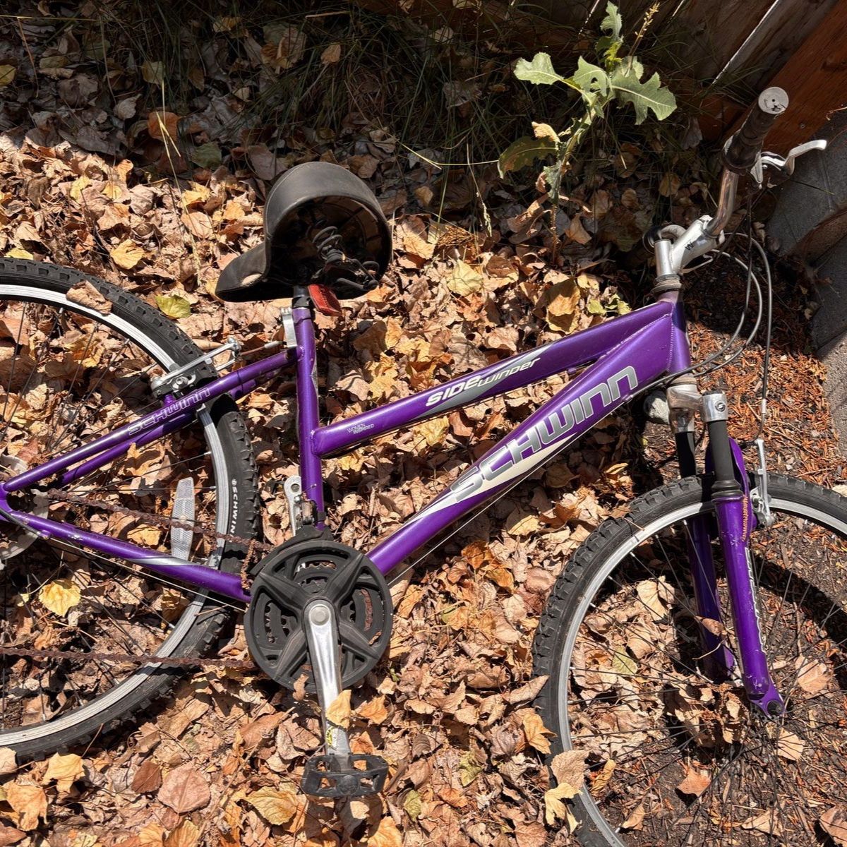 Free bike