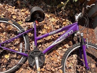 Free bike