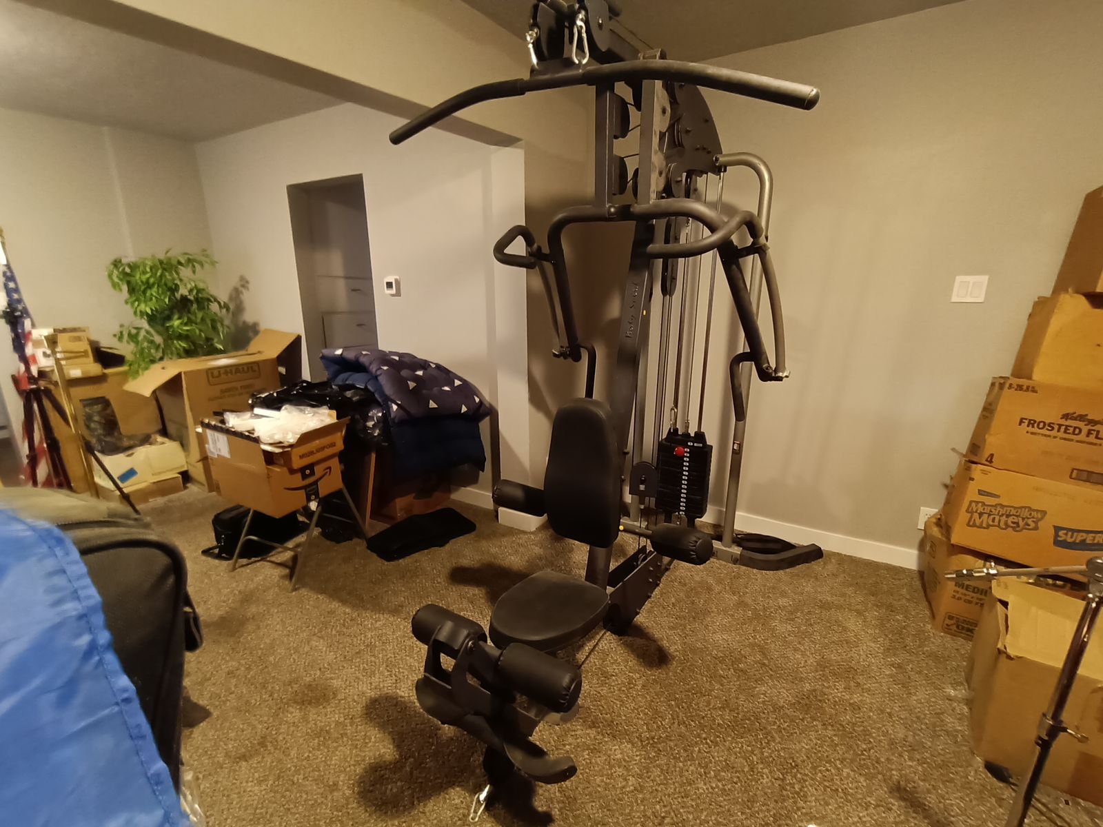 Body Solid Exercise Equipment