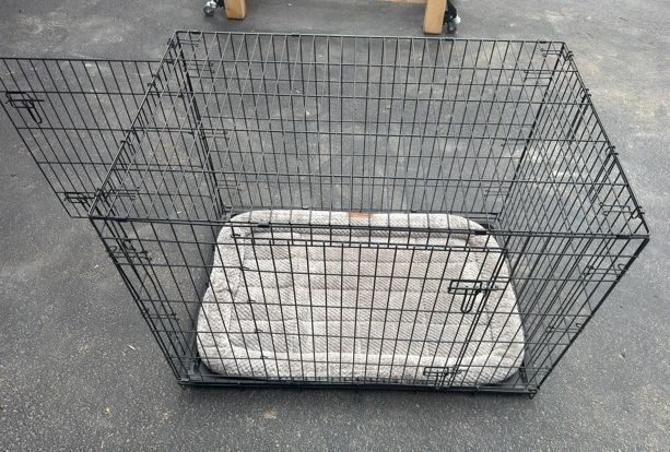Dog Kennel