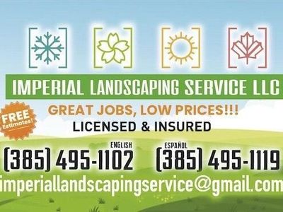 Lawn Care | Weekly Mowing | Aeration | Spring & Fall Clean Ups | Power Raking | Sod Installation