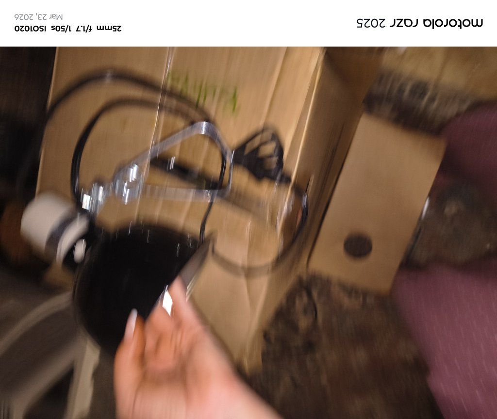 crested geckos and everyting