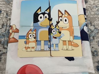 Bluey twin sheet set n books