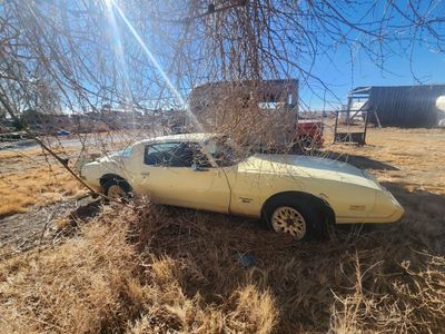 1979 Pontiac Firebird Firebird
