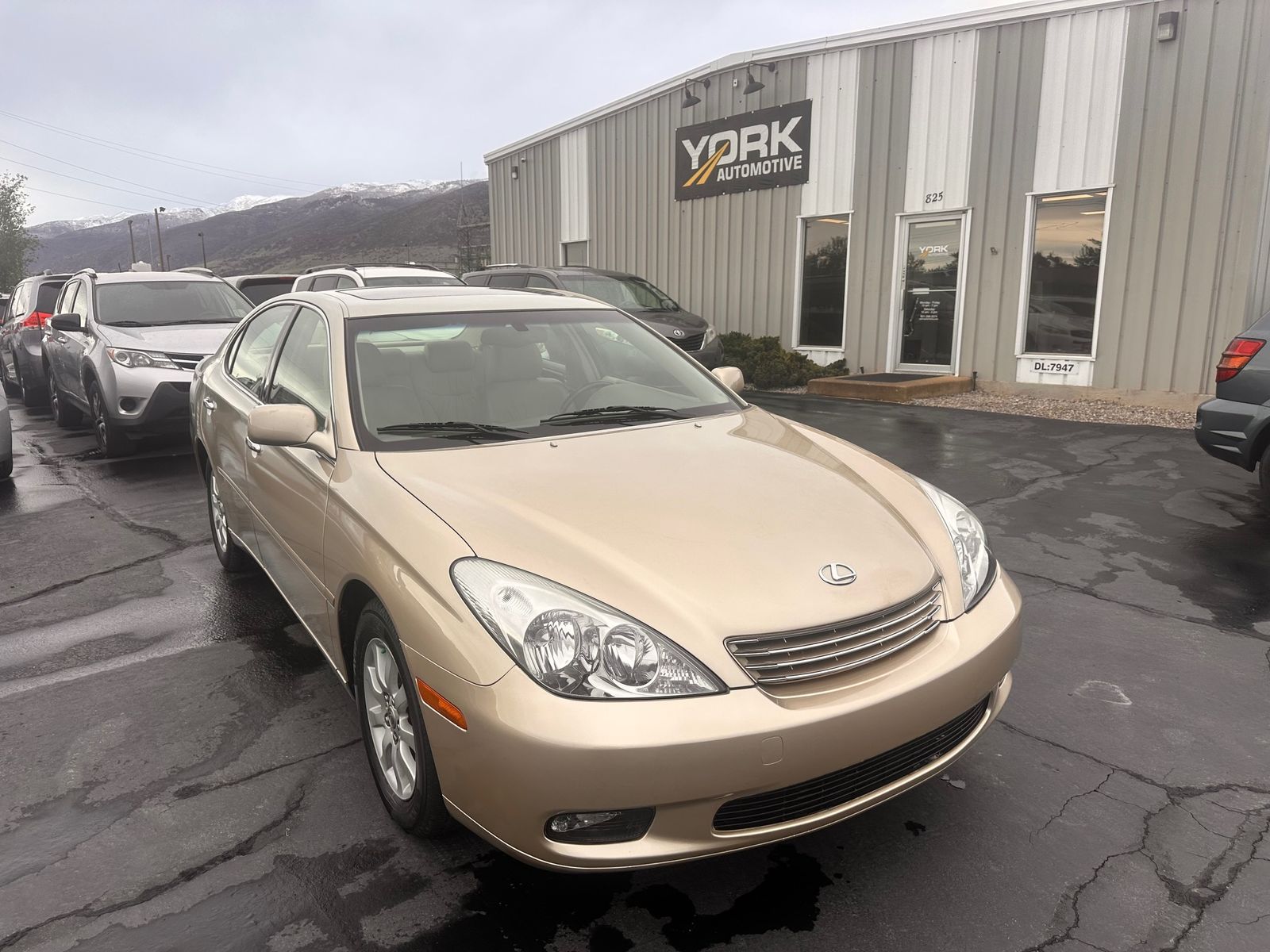 2004 Lexus ES Base