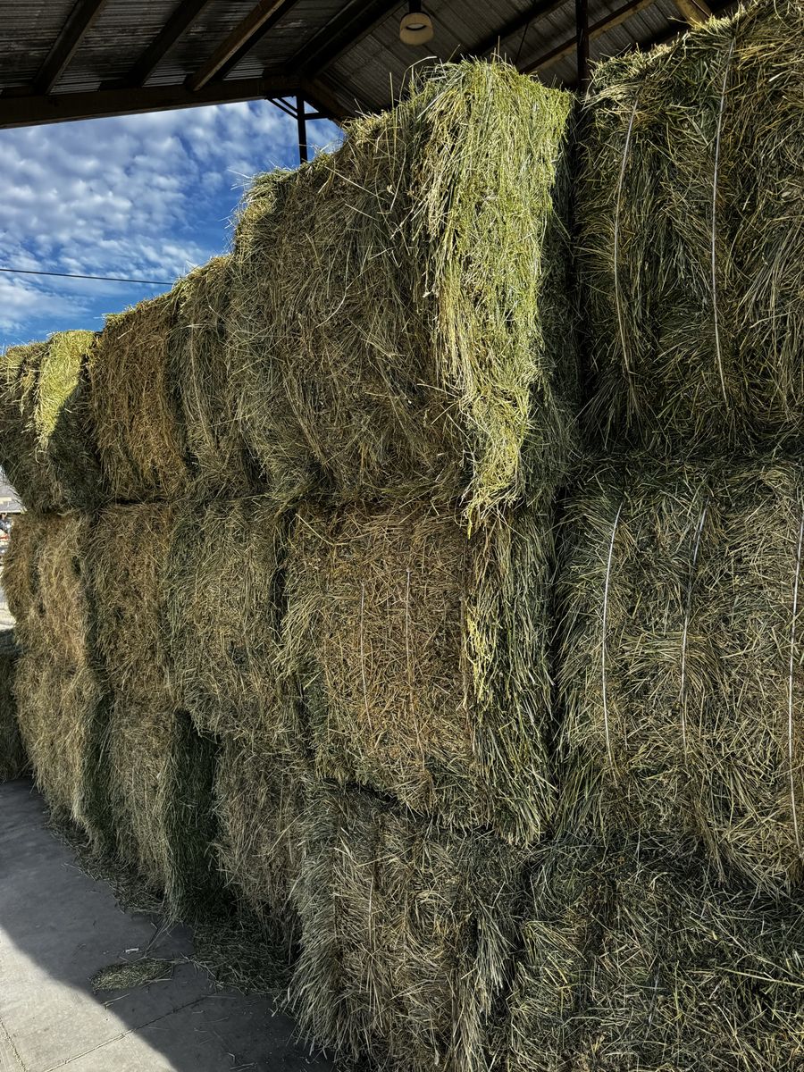 3 x 3 x 9 900 pound bales