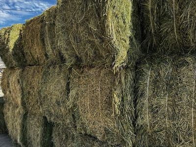 3 x 3 x 9 900 pound bales