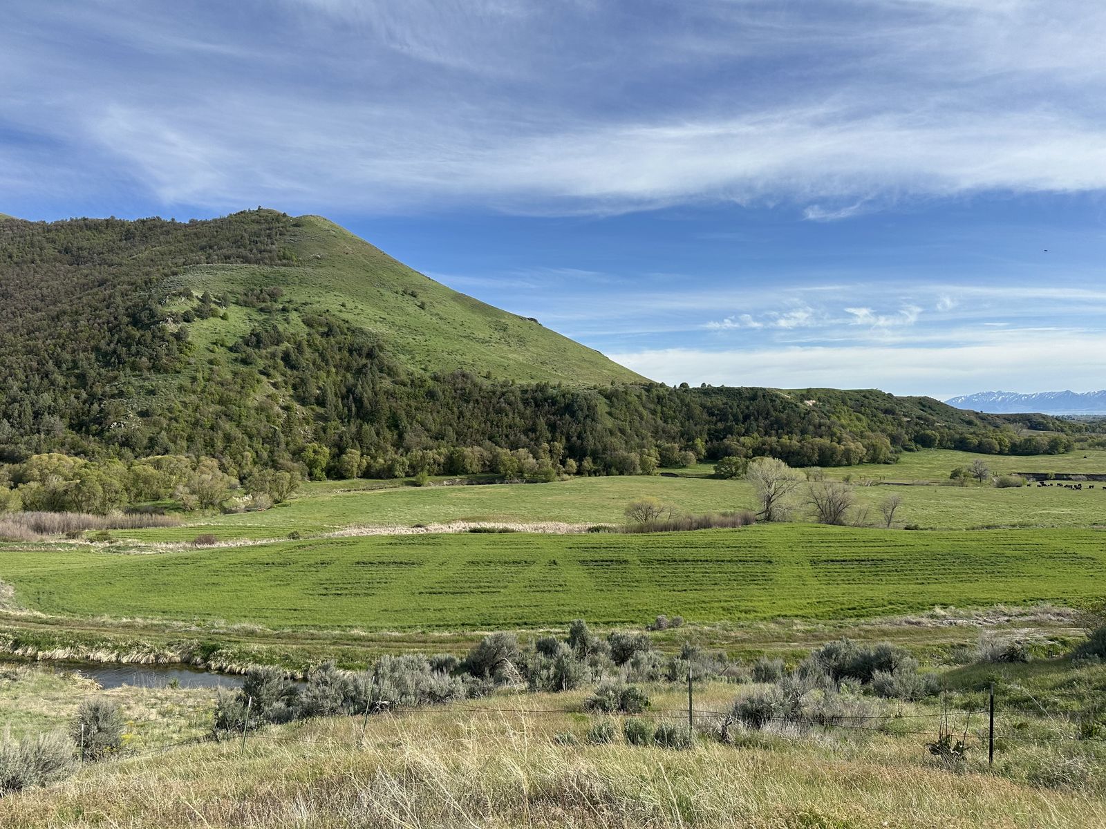 2.5 Acres | Cub River | Preston, ID