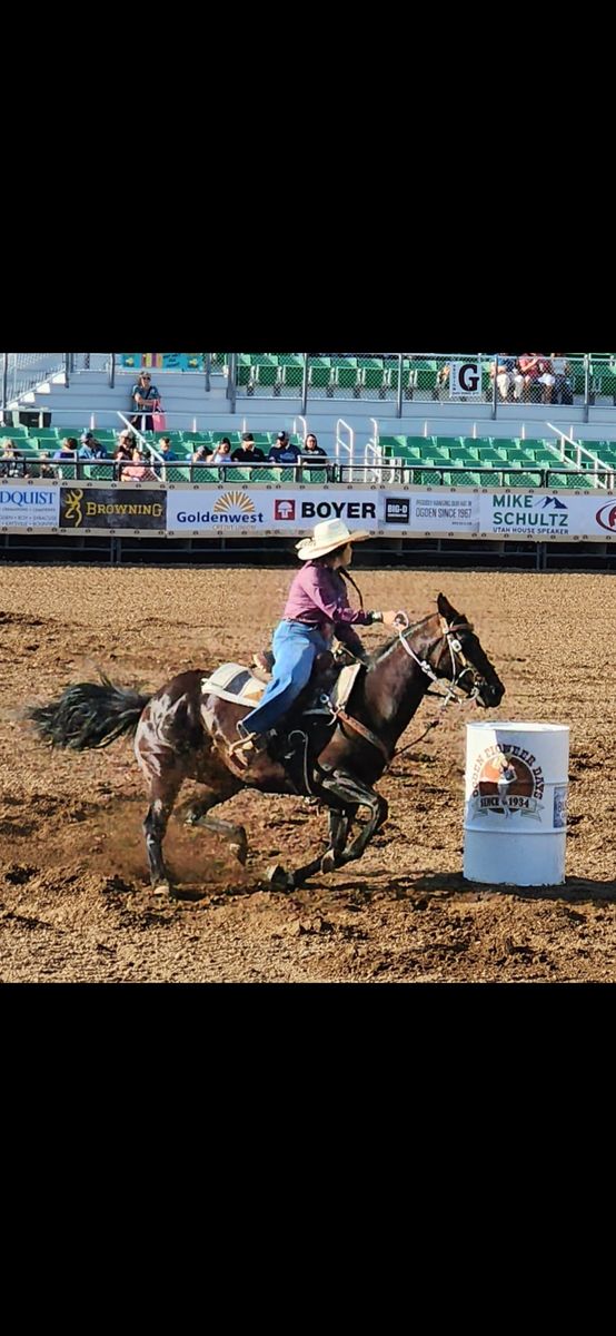 Loving 13 Year Old QH Mare
