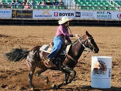 Loving 13 Year Old QH Mare