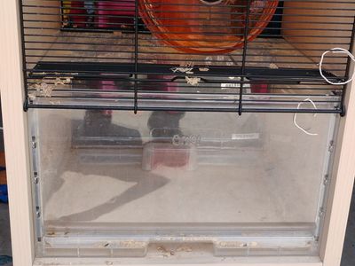 Hamster cage